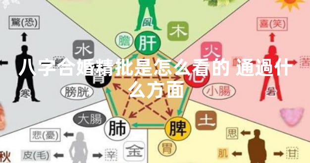 八字合婚精批是怎么看的 通過什么方面